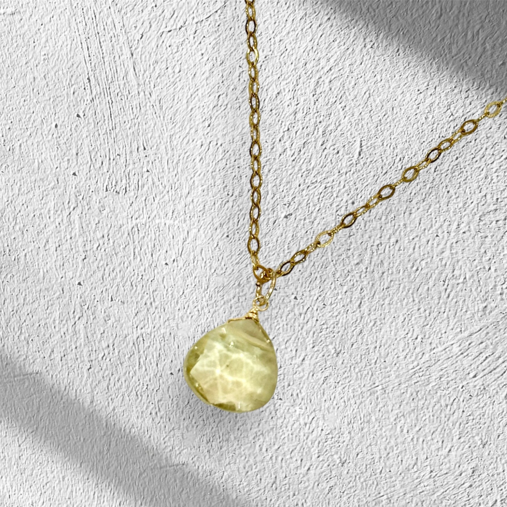 あ*ん様 18K GF ネックレス K18ゴールド マゼランペンギン コインネックレス – WWFジャパン PANDA SHOP